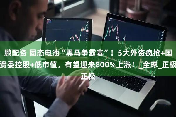 鹏配资 固态电池“黑马争霸赛”！5大外资疯抢+国资委控股+低市值，有望迎来800%上涨！_全球_正极