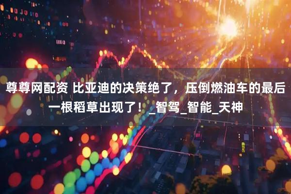尊尊网配资 比亚迪的决策绝了，压倒燃油车的最后一根稻草出现了！_智驾_智能_天神