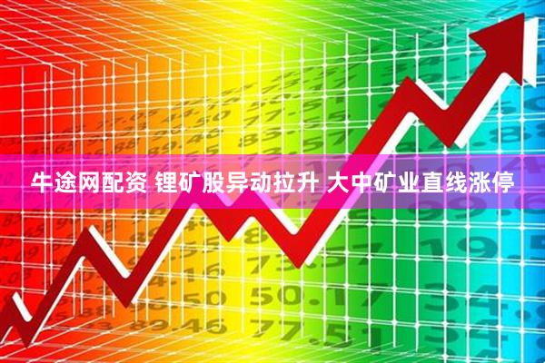 牛途网配资 锂矿股异动拉升 大中矿业直线涨停