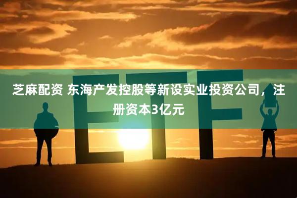芝麻配资 东海产发控股等新设实业投资公司，注册资本3亿元