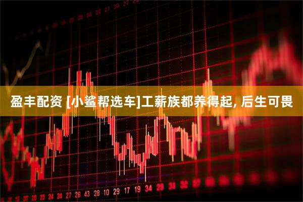 盈丰配资 [小鲨帮选车]工薪族都养得起, 后生可畏
